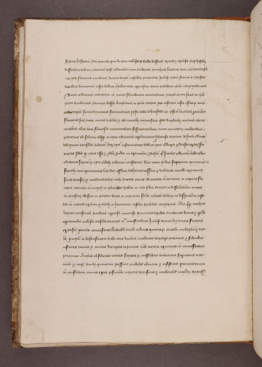 Folio 13  verso